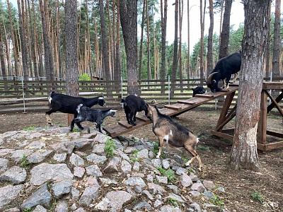 Животные. Экскурсия в зоопитомник Червлёный Яр «По следам дикой природы» -продолжительность 3 часа