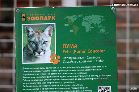 Экскурсия в зоопарк “Пушистые, пернатые, хвостатые” - продолжительность 3 часа