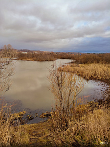 Коларовские водно-болотные угодья
