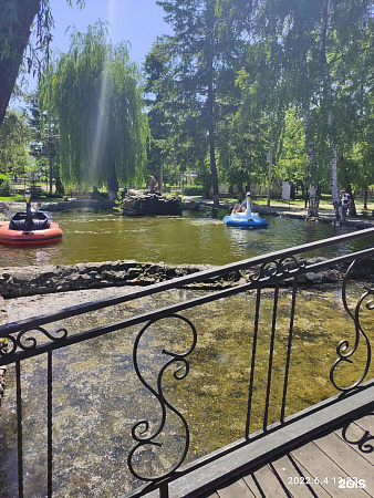 Озеро в зоопарке. Экскурсия в «Воронежский зоопарк им. А.С. Попова» - продолжительность 3 часа