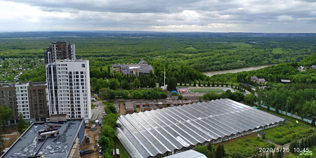 Детская Пешеходная экскурсия «Ботанический маршрут Уфы. Фото 3