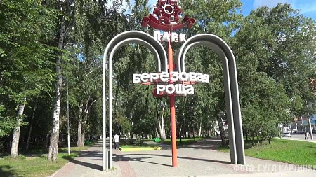 Березовая роща Березовая роща