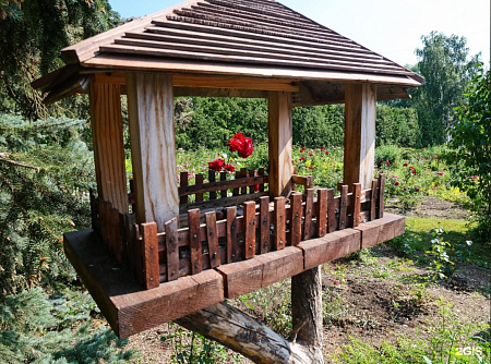 Пешеходная экскурсия «Ботанический маршрут Уфы. Фото 4
