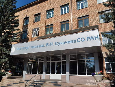 Институт леса имени В.Н. Сукачева_1