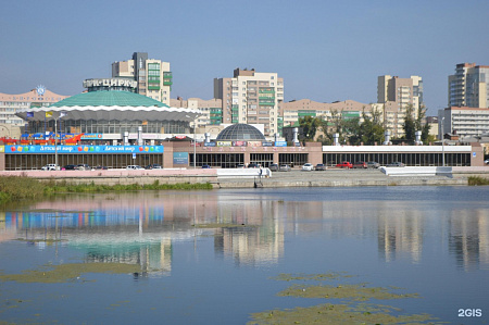 Челябинский цирк